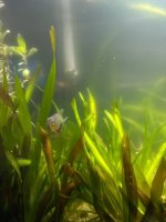 WhatsApp Image 2026-03-05 at 01.39.34 (3).jpeg