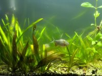 WhatsApp Image 2026-03-05 at 01.39.34 (1).jpeg