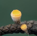 2026-03-06-00.04.33 ZS retouched.jpg