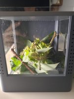 WhatsApp Image 2026-03-06 at 20.35.33 (1).jpeg