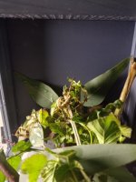 WhatsApp Image 2026-03-06 at 20.35.33.jpeg