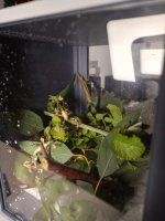 WhatsApp Image 2026-03-06 at 20.35.34.jpeg