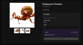 Adana Canlı Yem - Google Chrome 6.03.2026 21_58_22.png