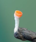 2026-03-06-20.43.05 ZS retouched-4.jpg