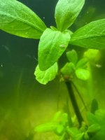 WhatsApp Image 2026-03-04 at 22.45.33 (6).jpeg