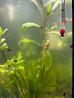 WhatsApp Image 2026-03-03 at 23.55.55 (1).jpeg