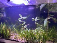 WhatsApp Image 2026-03-10 at 02.54.16.jpeg