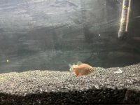 WhatsApp Image 2026-03-10 at 02.19.54 (1).jpeg