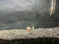 WhatsApp Image 2026-03-10 at 02.19.54.jpeg