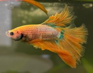 WhatsApp Image 2026-03-10 at 15.27.43 (28).jpeg