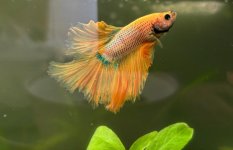 WhatsApp Image 2026-03-10 at 15.27.43 (22).jpeg