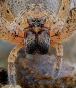 2026-03-13-00.08.17 ZS retouched-4.jpg