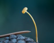 2026-03-08-21.19.06 ZS retouched-5.jpg