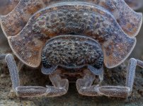 2026-03-14-01.00.56 ZS retouched-2.jpg