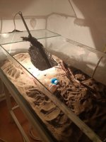 photo_2026-03-14_23-27-02.jpg photo_2026-03-14_23-27-02.jpg