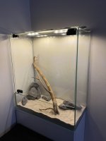 IMG_6062.jpg IMG_6062.jpg