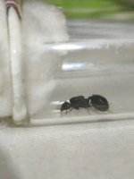 WhatsApp Image 2026-03-17 at 14.18.02.jpeg