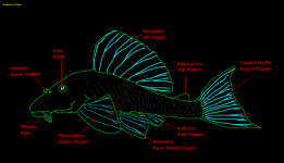 Screen Shot 18.03.2026 at 10.42.PNG