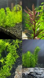 WhatsApp Image 2026-03-19 at 17.03.34.jpeg