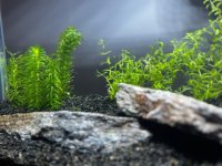 WhatsApp Image 2026-03-19 at 17.03.52.jpeg