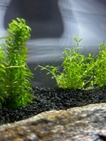 WhatsApp Image 2026-03-19 at 17.03.52 (1).jpeg