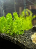 WhatsApp Image 2026-03-19 at 17.03.52 (2).jpeg