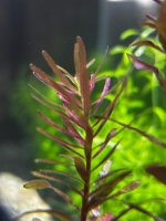 WhatsApp Image 2026-03-19 at 17.03.53.jpeg