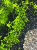 WhatsApp Image 2026-03-19 at 17.03.53 (1).jpeg