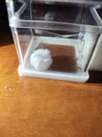 1000032306.jpg 1000032306.jpg