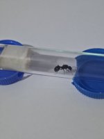 WhatsApp Image 2026-03-23 at 00.52.45.jpeg