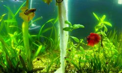 WhatsApp Image 2026-03-23 at 23.21.37 (1).JPG