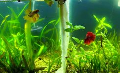 WhatsApp Image 2026-03-23 at 23.21.37 (2).JPG