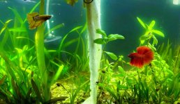 WhatsApp Image 2026-03-23 at 23.21.37.JPG