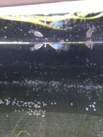 WhatsApp Image 2026-03-25 at 16.25.45.jpeg