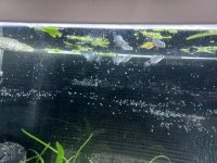 WhatsApp Image 2026-03-25 at 16.25.45 (1).jpeg