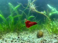 WhatsApp Image 2026-03-25 at 13.56.21.jpeg