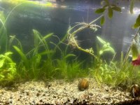 WhatsApp Image 2026-03-25 at 13.56.21.jpeg