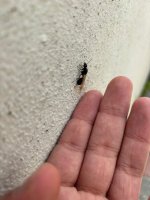 WhatsApp Image 2026-03-26 at 12.31.27 (3).jpeg