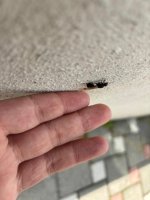 WhatsApp Image 2026-03-26 at 12.31.27 (2).jpeg