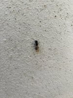 WhatsApp Image 2026-03-26 at 12.31.27.jpeg