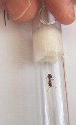 WhatsApp Image 2026-03-26 at 13.46.40 (2).jpeg