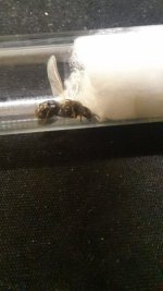 WhatsApp Image 2026-03-27 at 11.02.46.jpeg