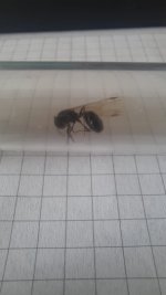 WhatsApp Image 2026-03-27 at 15.32.17.jpeg