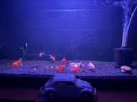 WhatsApp Image 2026-03-27 at 20.29.13 (1).jpeg