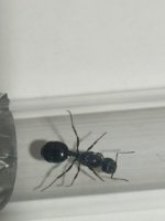 WhatsApp Image 2026-03-27 at 20.52.47 (1).jpeg