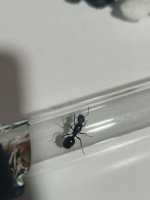 WhatsApp Image 2026-03-27 at 20.52.47 (2).jpeg