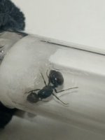 WhatsApp Image 2026-03-27 at 20.52.47 (3).jpeg