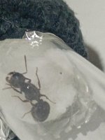 WhatsApp Image 2026-03-27 at 20.52.47 (4).jpeg