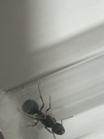 WhatsApp Image 2026-03-27 at 20.52.47.jpeg