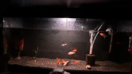 WhatsApp Image 2026-03-27 at 23.55.18 (1).jpeg